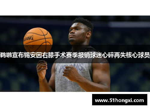 鹈鹕宣布锡安因右膝手术赛季报销球迷心碎再失核心球员
